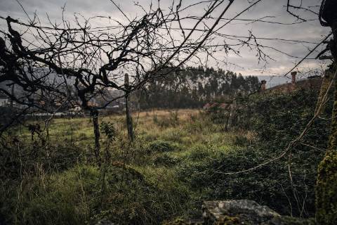 Quinta  Venda em Meixomil,Paços de Ferreira