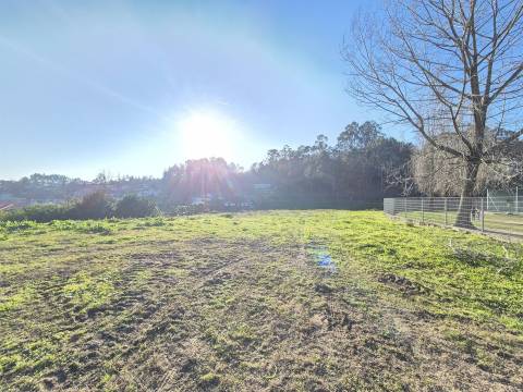Terreno  Venda em Sanfins Lamoso Codessos,Paços de Ferreira