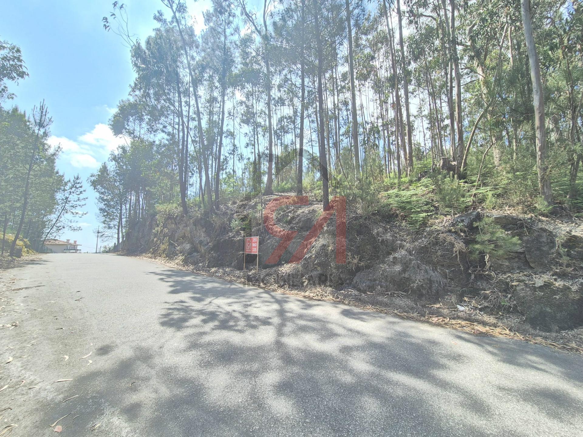 Terreno  Venda em Freamunde,Paços de Ferreira