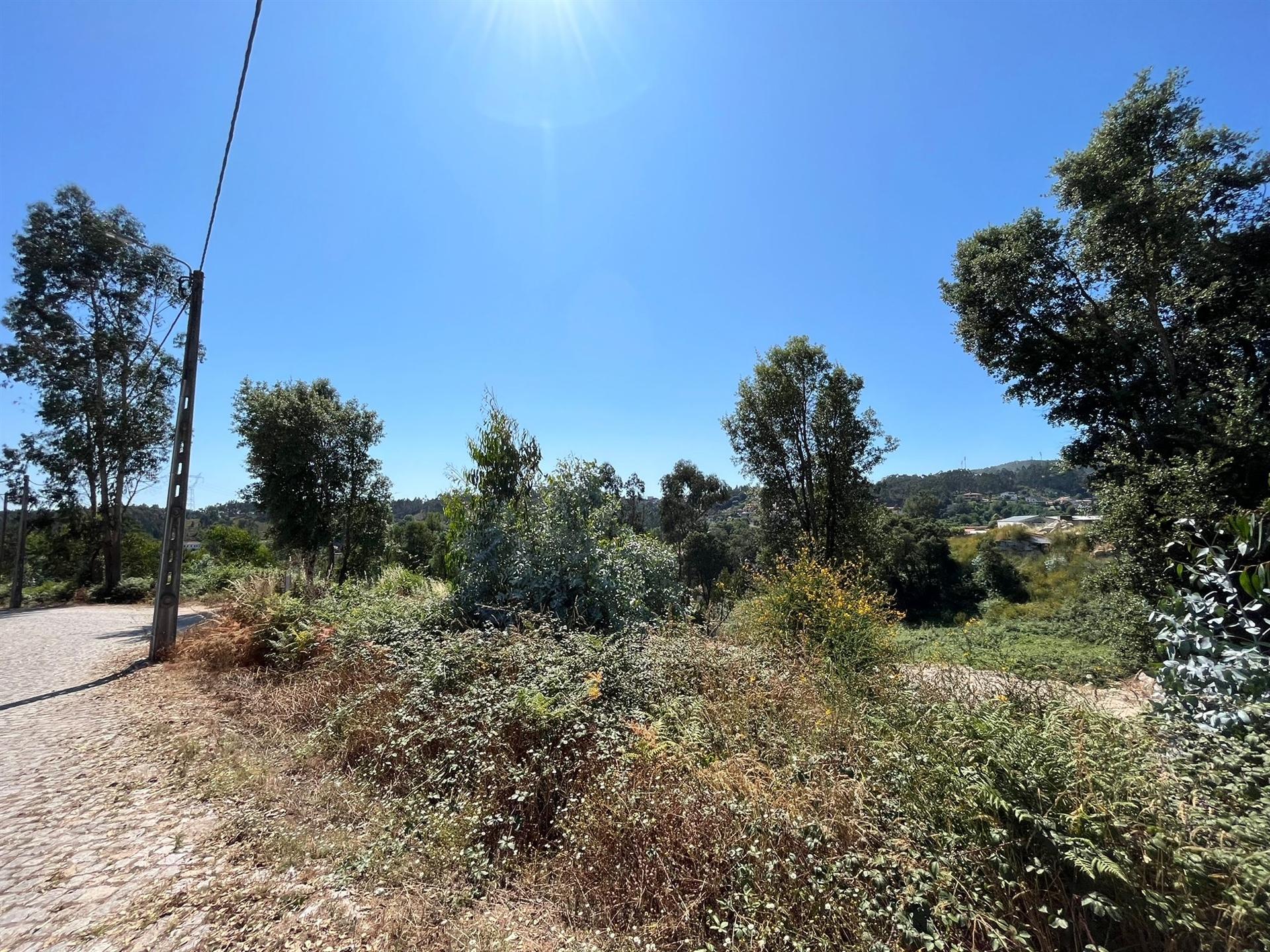 Terreno  Venda em Lordelo,Paredes