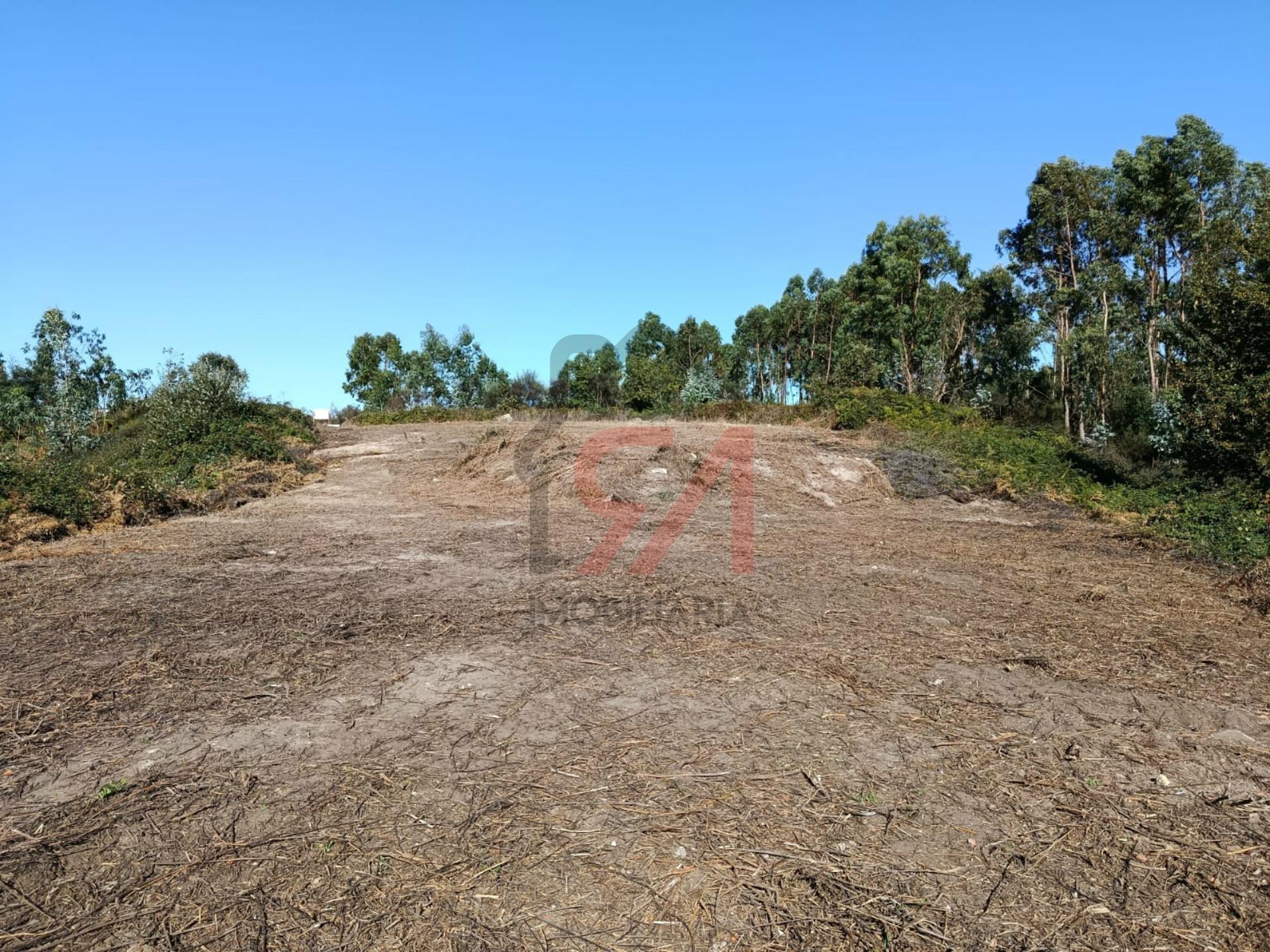 Terreno  Venda em Paços de Ferreira,Paços de Ferreira