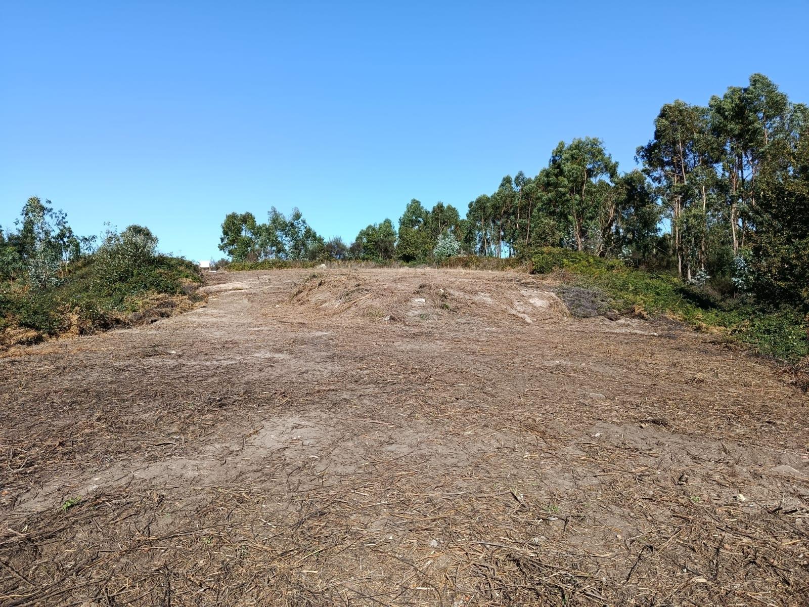 Terreno  Venda em Paços de Ferreira,Paços de Ferreira