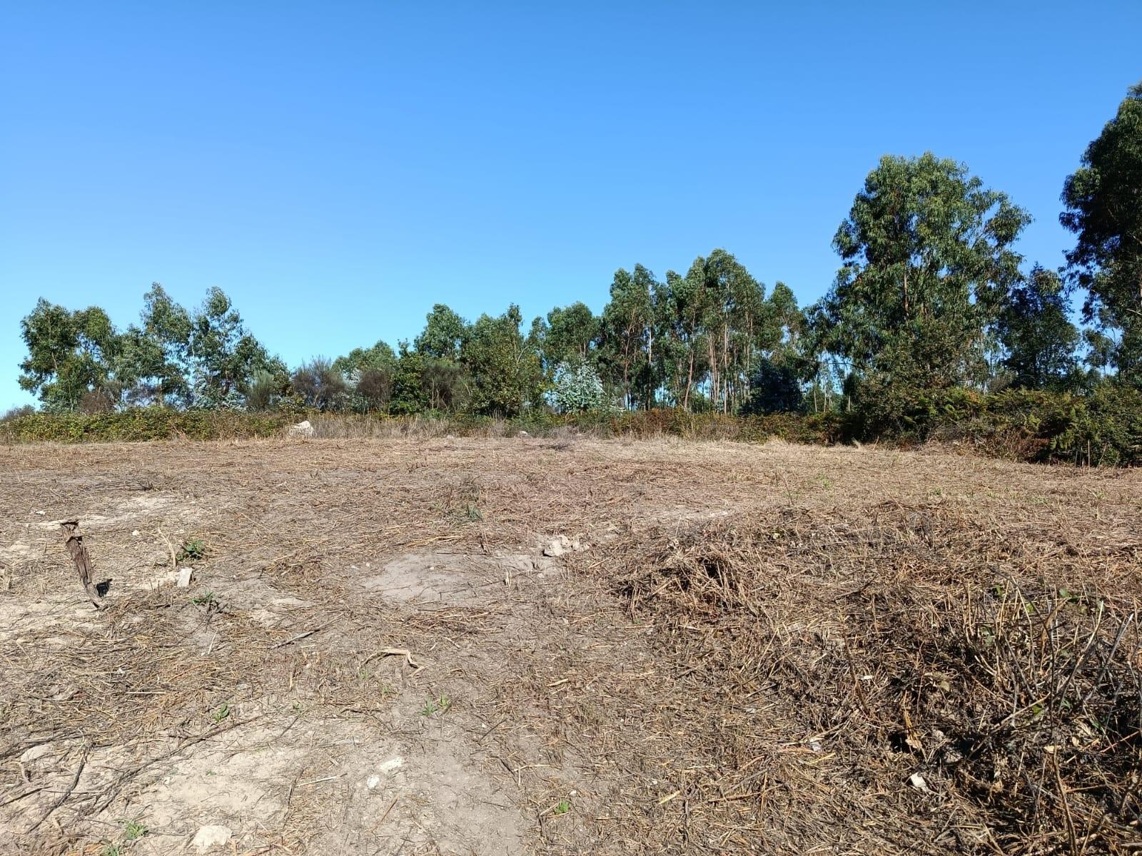 Terreno  Venda em Paços de Ferreira,Paços de Ferreira