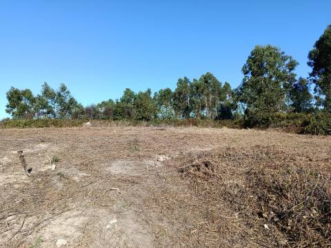 Terreno  Venda em Paços de Ferreira,Paços de Ferreira