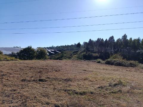Terreno  Venda em Paços de Ferreira,Paços de Ferreira