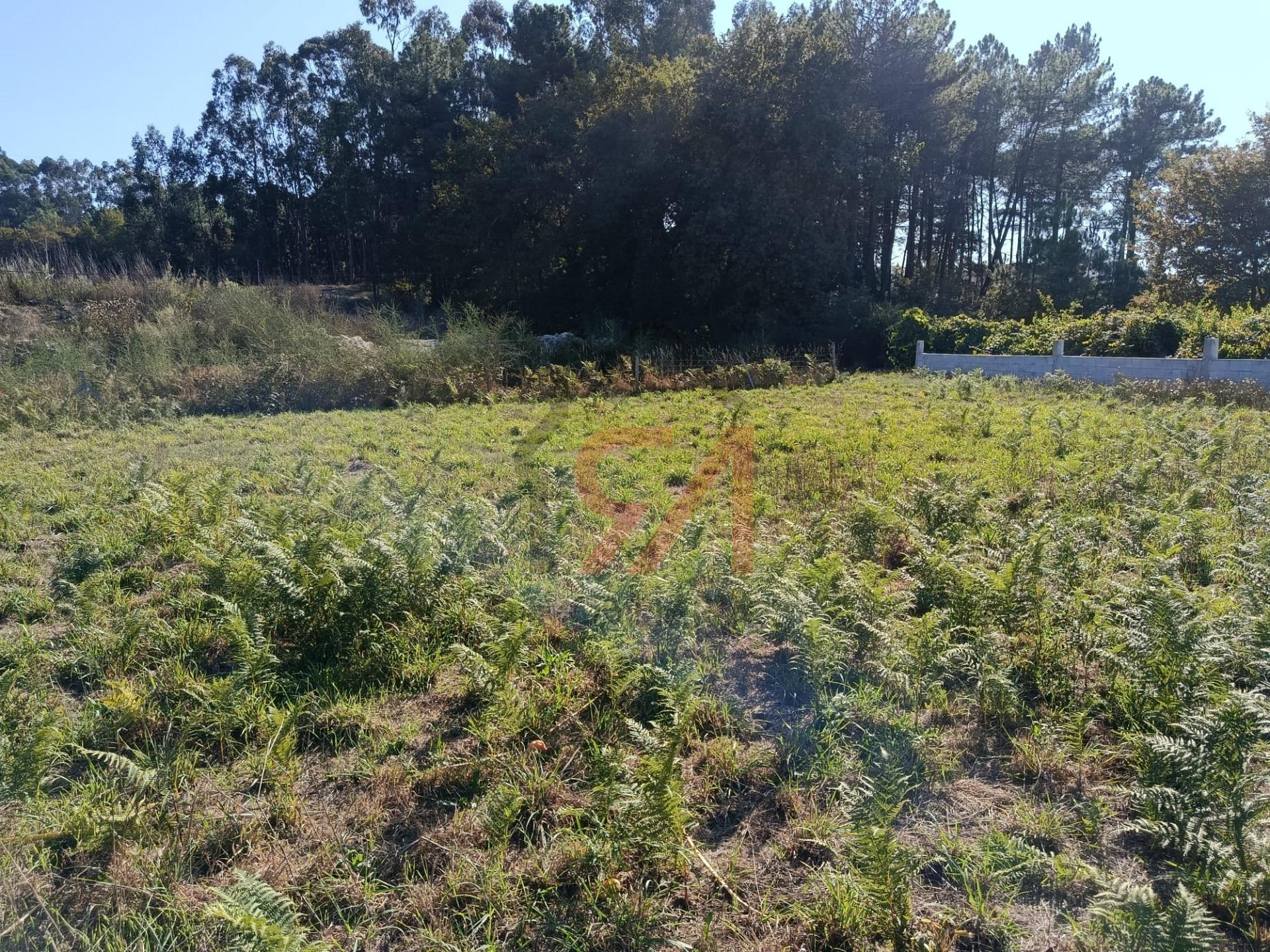 Terreno  Venda em Paços de Ferreira,Paços de Ferreira