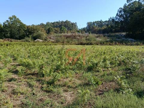 Terreno  Venda em Paços de Ferreira,Paços de Ferreira