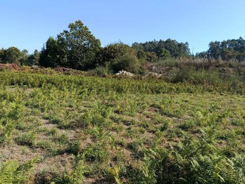 Terreno  Venda em Paços de Ferreira,Paços de Ferreira