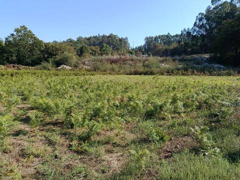 Terreno  Venda em Paços de Ferreira,Paços de Ferreira