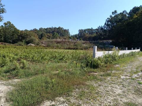 Terreno  Venda em Paços de Ferreira,Paços de Ferreira