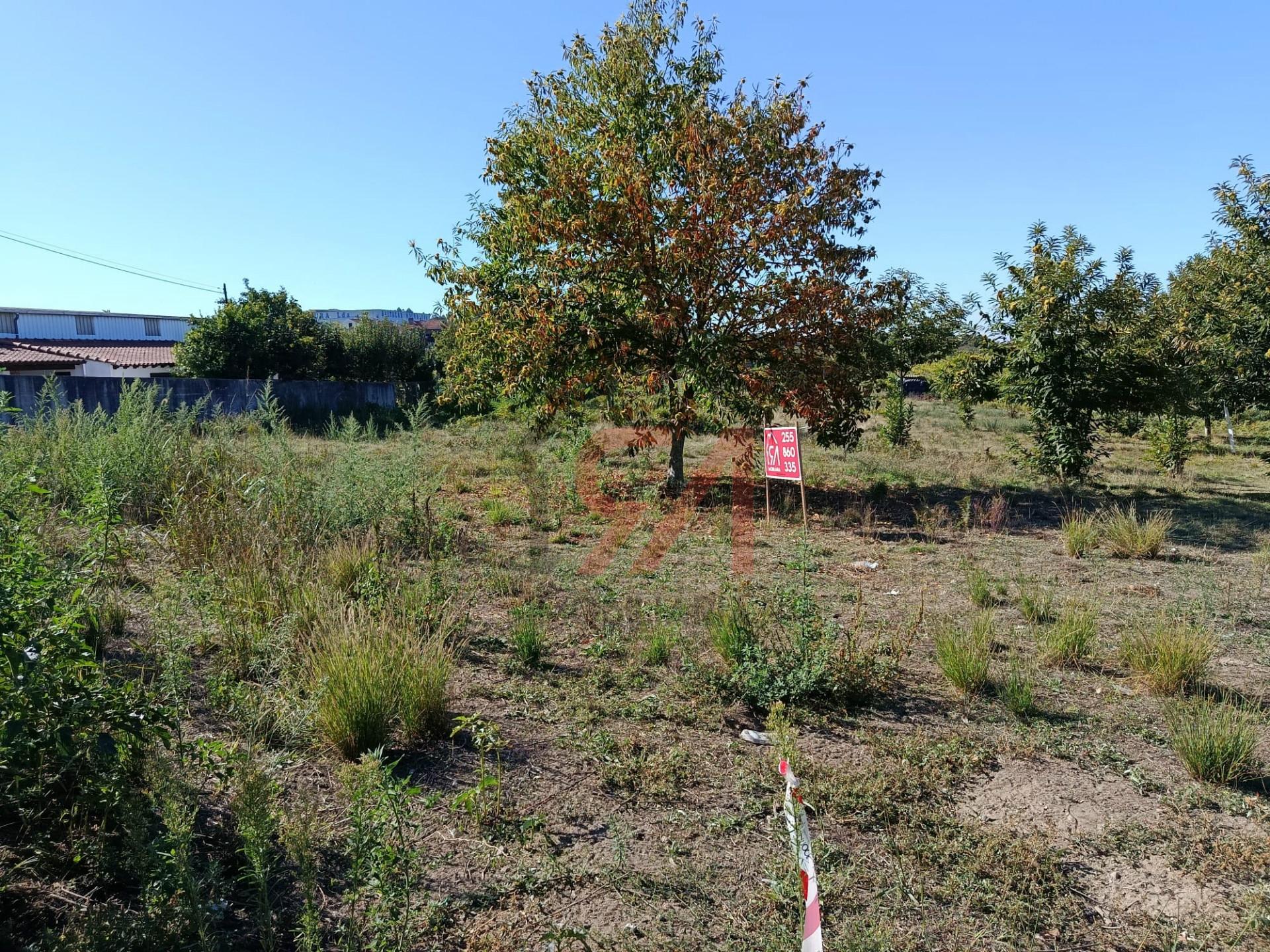 Terreno  Venda em Paços de Ferreira,Paços de Ferreira