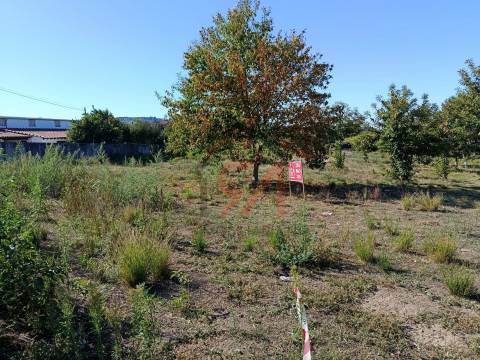 Terreno  Venda em Paços de Ferreira,Paços de Ferreira