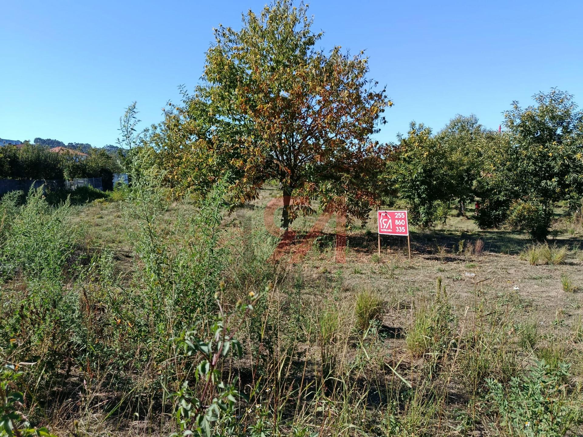 Terreno  Venda em Paços de Ferreira,Paços de Ferreira