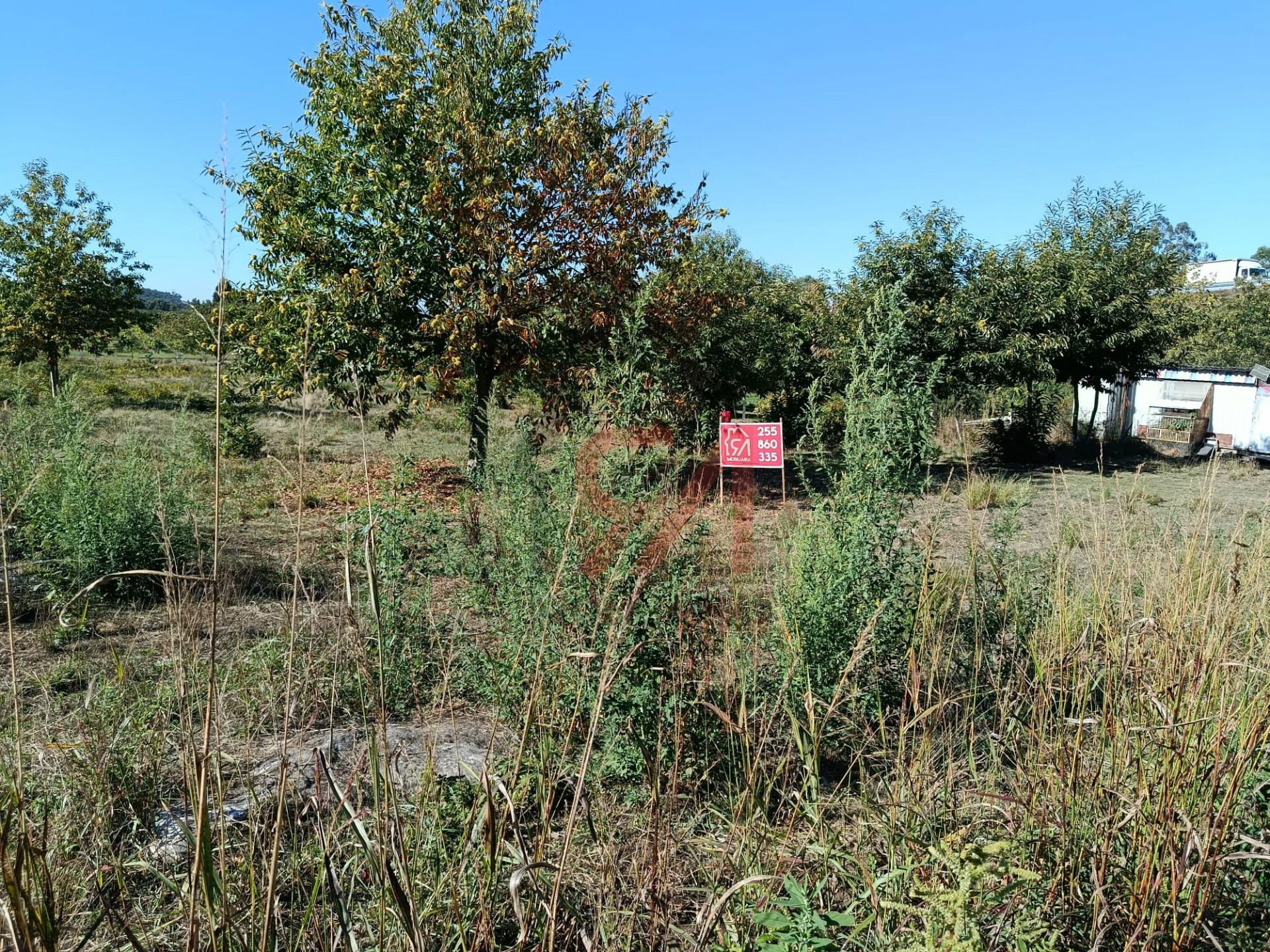 Terreno  Venda em Paços de Ferreira,Paços de Ferreira