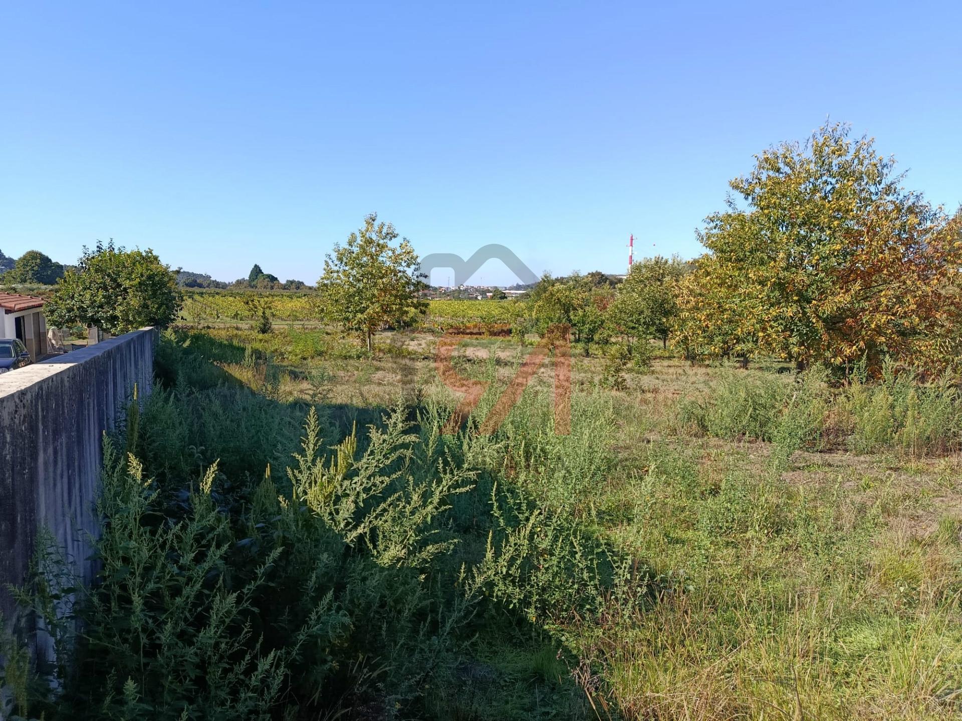 Terreno  Venda em Paços de Ferreira,Paços de Ferreira