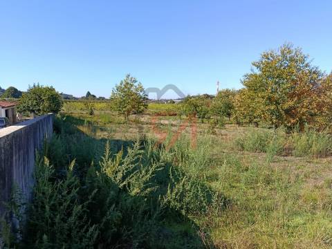 Terreno  Venda em Paços de Ferreira,Paços de Ferreira