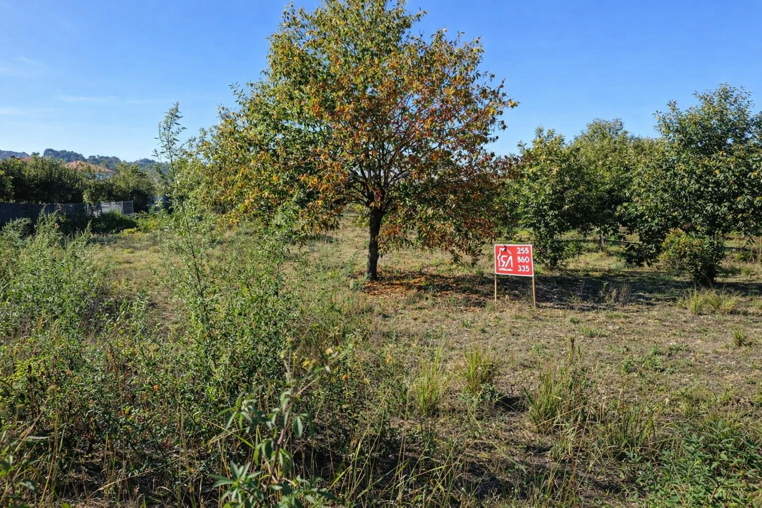 Terreno  Venda em Paços de Ferreira,Paços de Ferreira