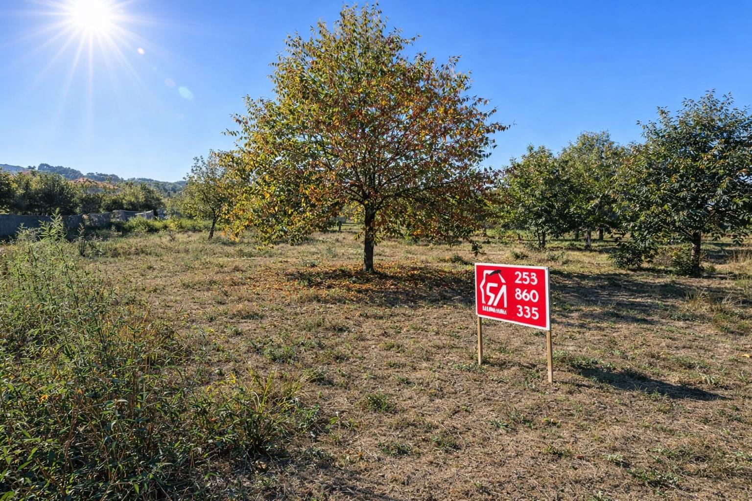Terreno  Venda em Paços de Ferreira,Paços de Ferreira