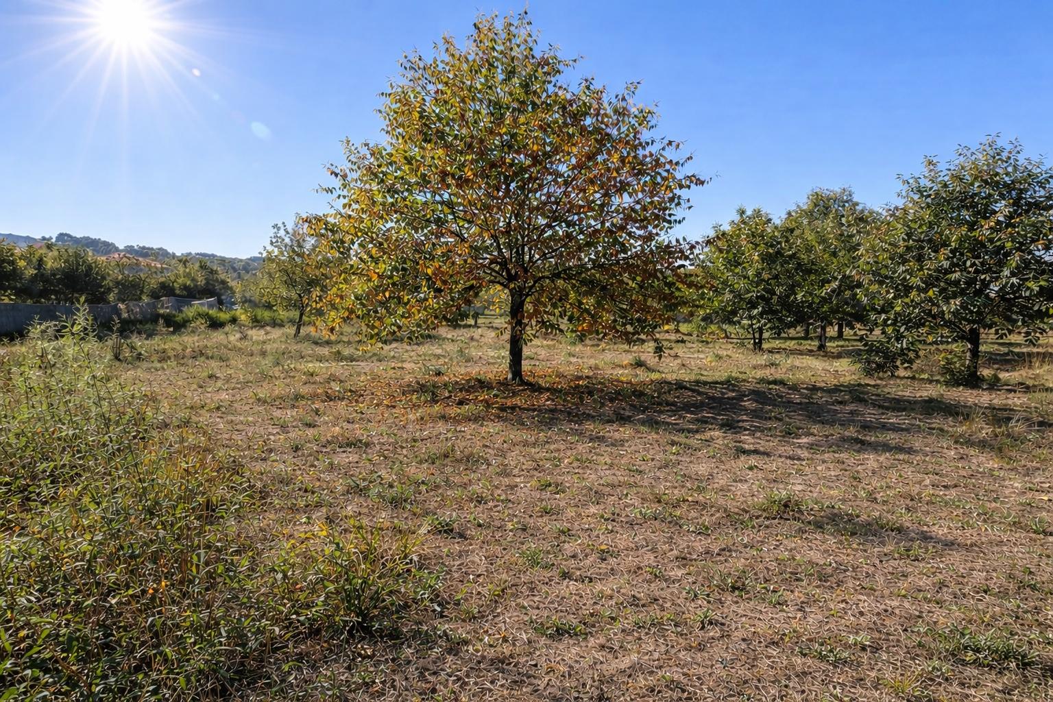 Terreno  Venda em Paços de Ferreira,Paços de Ferreira