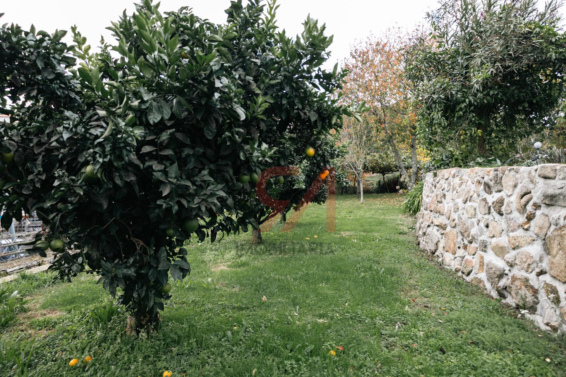 Moradia Isolada T3+1 Venda em Sanfins Lamoso Codessos,Paços de Ferreira