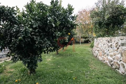 Moradia Isolada T3+1 Venda em Sanfins Lamoso Codessos,Paços de Ferreira