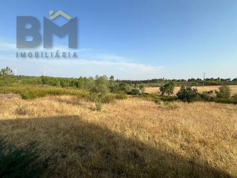 Quintinha  Venda em Cebolais de Cima e Retaxo,Castelo Branco