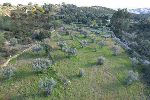 Quintinha  Venda em Salgueiro do Campo,Castelo Branco
