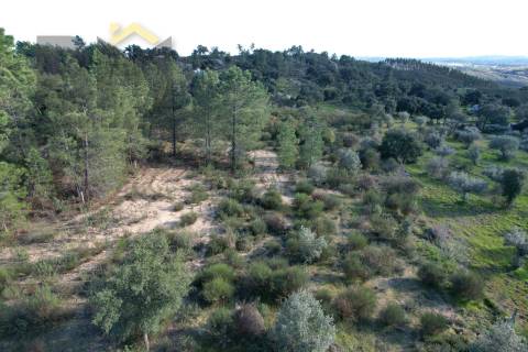 Quintinha  Venda em Salgueiro do Campo,Castelo Branco