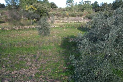 Quintinha  Venda em Salgueiro do Campo,Castelo Branco