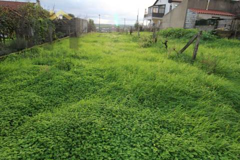 Terreno Para Construção  Venda em Castelo Branco,Castelo Branco