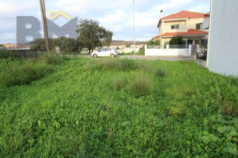 Terreno Para Construção  Venda em Castelo Branco,Castelo Branco