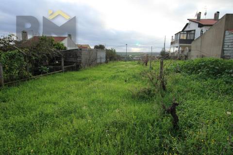 Terreno Para Construção  Venda em Castelo Branco,Castelo Branco