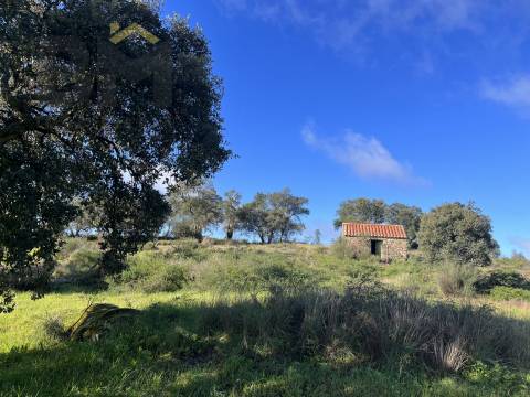 Quintinha  Venda em Monsanto e Idanha-a-Velha,Idanha-a-Nova