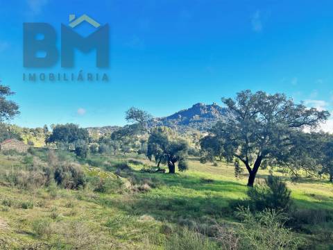 Quintinha  Venda em Monsanto e Idanha-a-Velha,Idanha-a-Nova