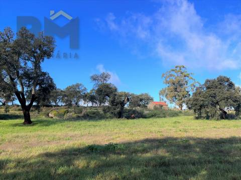 Quintinha  Venda em Monsanto e Idanha-a-Velha,Idanha-a-Nova