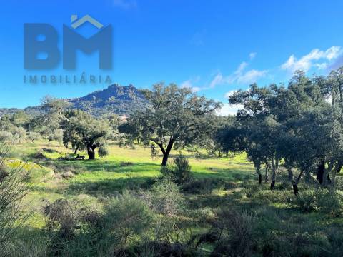 Quintinha  Venda em Monsanto e Idanha-a-Velha,Idanha-a-Nova