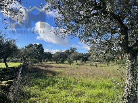 Quintinha  Venda em Monsanto e Idanha-a-Velha,Idanha-a-Nova