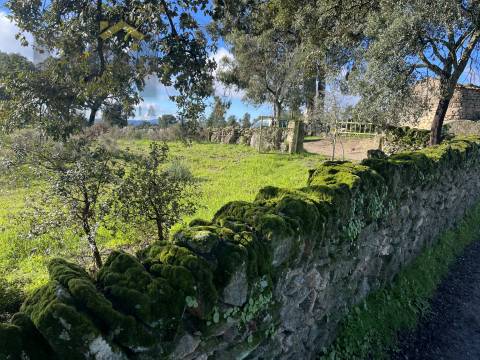 Quintinha  Venda em Monsanto e Idanha-a-Velha,Idanha-a-Nova