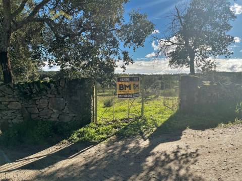 Quintinha  Venda em Monsanto e Idanha-a-Velha,Idanha-a-Nova