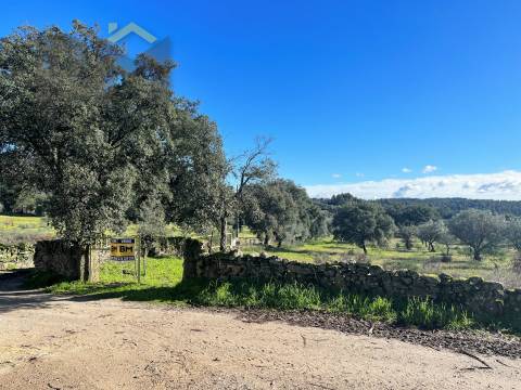Quintinha  Venda em Monsanto e Idanha-a-Velha,Idanha-a-Nova