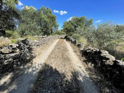 Quintinha  Venda em Escalos de Cima e Lousa,Castelo Branco