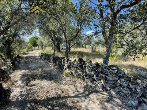 Quintinha  Venda em Escalos de Cima e Lousa,Castelo Branco