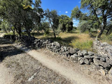 Quintinha  Venda em Escalos de Cima e Lousa,Castelo Branco