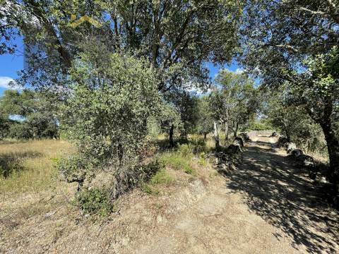 Quintinha  Venda em Escalos de Cima e Lousa,Castelo Branco