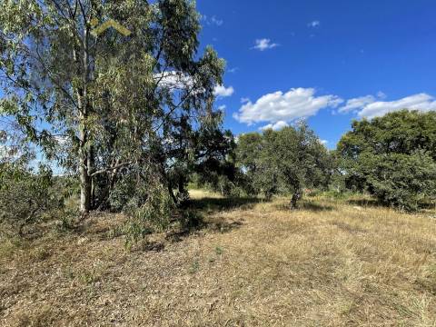 Quintinha  Venda em Escalos de Cima e Lousa,Castelo Branco
