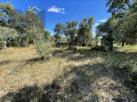 Quintinha  Venda em Escalos de Cima e Lousa,Castelo Branco