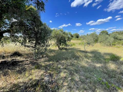 Quintinha  Venda em Escalos de Cima e Lousa,Castelo Branco