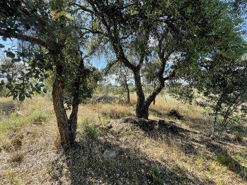 Quintinha  Venda em Escalos de Cima e Lousa,Castelo Branco