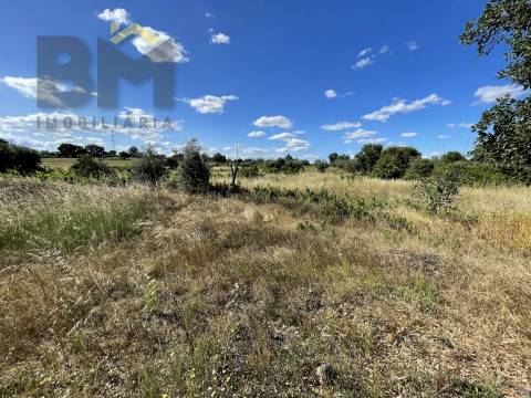 Quintinha  Venda em Escalos de Cima e Lousa,Castelo Branco