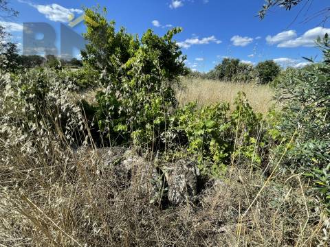 Quintinha  Venda em Escalos de Cima e Lousa,Castelo Branco
